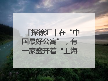 探徐汇｜在“中国最好公寓”，有一家盛开着“上海玫瑰”的书店