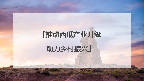 推动西瓜产业升级 助力乡村振兴
