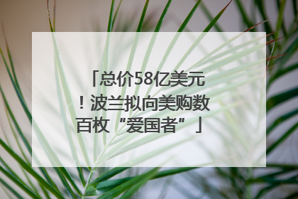 总价58亿美元！波兰拟向美购数百枚“爱国者”