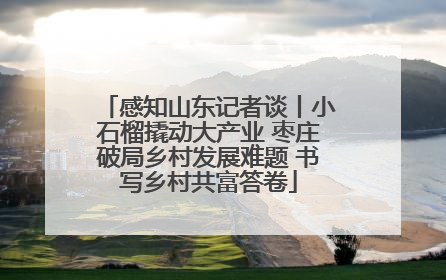 感知山东记者谈丨小石榴撬动大产业 枣庄破局乡村发展难题 书写乡村共富答卷