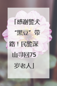 感谢警犬“黑豆”带路！民警深山寻回75岁老人