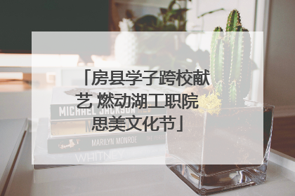 房县学子跨校献艺 燃动湖工职院思美文化节