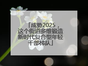 成势2025，这个街道多维锻造新时代复合型年轻干部梯队