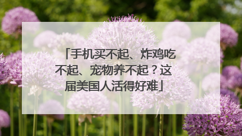 手机买不起、炸鸡吃不起、宠物养不起？这届美国人活得好难