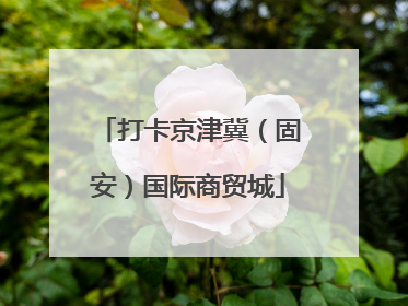 打卡京津冀（固安）国际商贸城