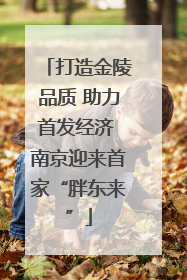 打造金陵品质 助力首发经济 南京迎来首家“胖东来”