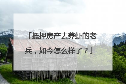 抵押房产去养虾的老兵，如今怎么样了？