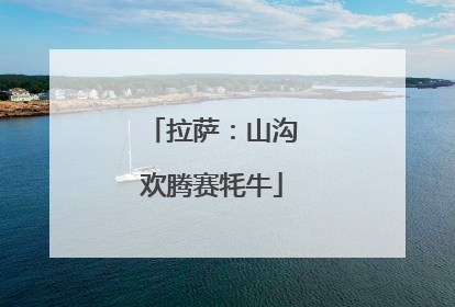 拉萨：山沟欢腾赛牦牛