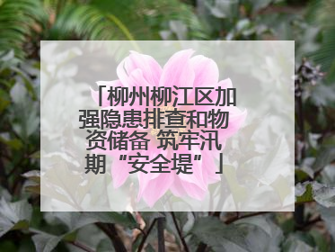 柳州柳江区加强隐患排查和物资储备 筑牢汛期“安全堤”