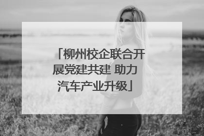 柳州校企联合开展党建共建 助力汽车产业升级