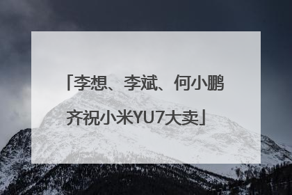 李想、李斌、何小鹏齐祝小米YU7大卖
