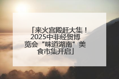 来火宫殿赶大集！2025中非经贸博览会“味道湖南”美食市集开启