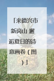 来德兴市新岗山 邂逅夏日的诗意画卷（图）