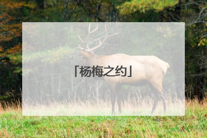 杨梅之约