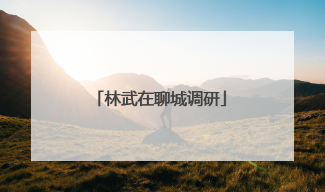 林武在聊城调研