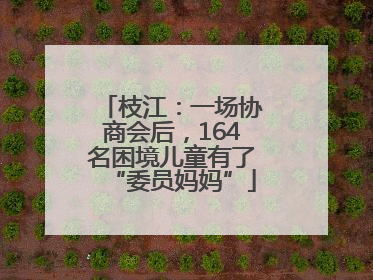 枝江：一场协商会后，164名困境儿童有了“委员妈妈”