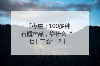 枣庄：100多种石榴产品，靠什么“七十二变”？