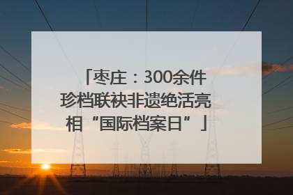 枣庄：300余件珍档联袂非遗绝活亮相“国际档案日”