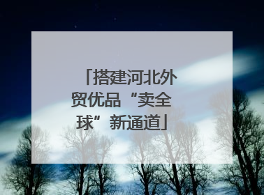 搭建河北外贸优品“卖全球”新通道
