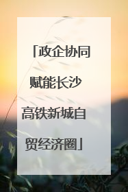 政企协同 赋能长沙高铁新城自贸经济圈