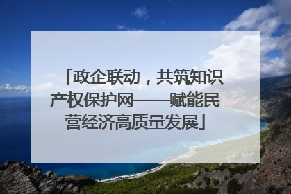 政企联动，共筑知识产权保护网——赋能民营经济高质量发展