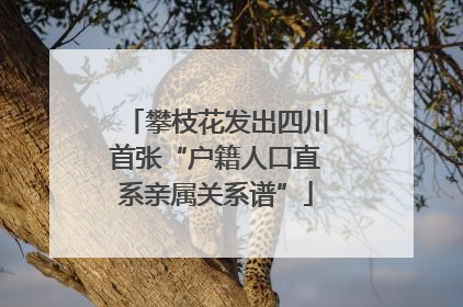 攀枝花发出四川首张“户籍人口直系亲属关系谱”