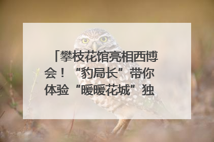 攀枝花馆亮相西博会！“豹局长”带你体验“暖暖花城”独特魅力｜西博视界