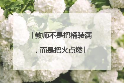 教师不是把桶装满，而是把火点燃