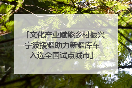 文化产业赋能乡村振兴 宁波援疆助力新疆库车入选全国试点城市