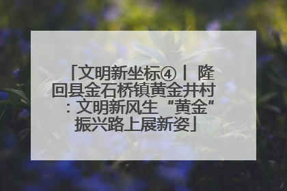 文明新坐标④丨 隆回县金石桥镇黄金井村：文明新风生“黄金” 振兴路上展新姿