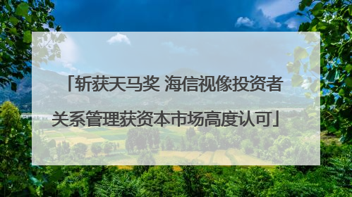 斩获天马奖 海信视像投资者关系管理获资本市场高度认可