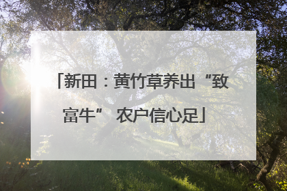 新田：黄竹草养出“致富牛” 农户信心足