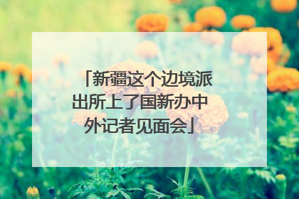 新疆这个边境派出所上了国新办中外记者见面会