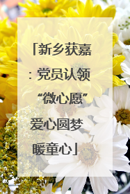 新乡获嘉：党员认领“微心愿” 爱心圆梦暖童心