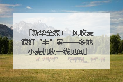 新华全媒+｜风吹麦浪好“丰”景——多地小麦机收一线见闻