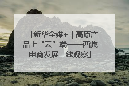新华全媒+｜高原产品上“云”端——西藏电商发展一线观察