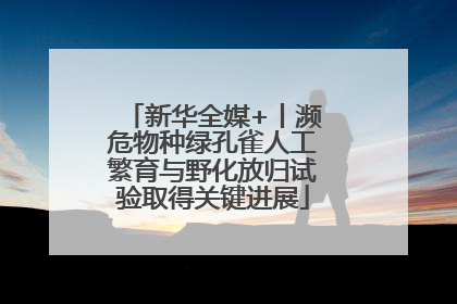 新华全媒+丨濒危物种绿孔雀人工繁育与野化放归试验取得关键进展