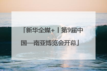 新华全媒+丨第9届中国—南亚博览会开幕