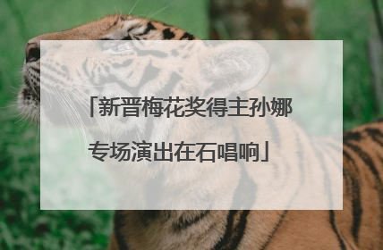 新晋梅花奖得主孙娜专场演出在石唱响
