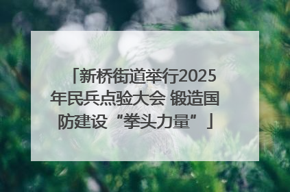 新桥街道举行2025年民兵点验大会 锻造国防建设“拳头力量”