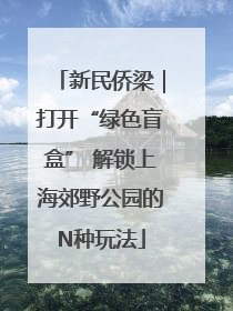 新民侨梁｜打开“绿色盲盒” 解锁上海郊野公园的N种玩法