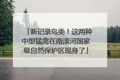 新记录鸟类！这两种中型猛禽在南滚河国家级自然保护区现身了