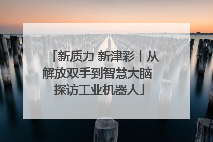 新质力 新津彩丨从解放双手到智慧大脑 探访工业机器人
