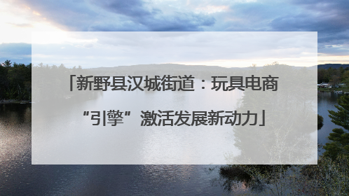 新野县汉城街道：玩具电商“引擎”激活发展新动力