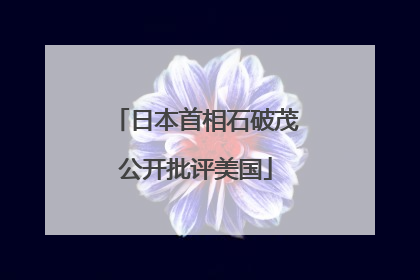 日本首相石破茂公开批评美国