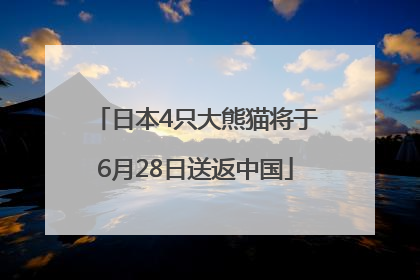 日本4只大熊猫将于6月28日送返中国