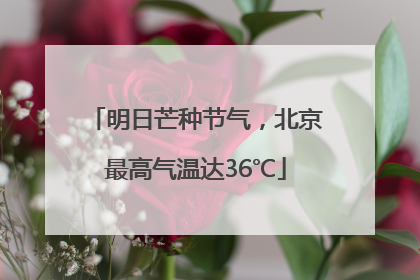 明日芒种节气，北京最高气温达36℃