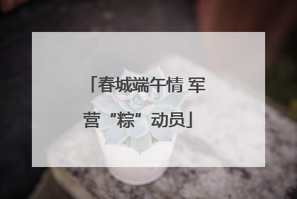 春城端午情 军营“粽”动员