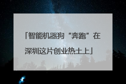 智能机器狗“奔跑”在深圳这片创业热土上