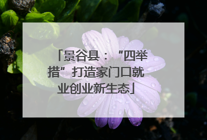 景谷县：“四举措”打造家门口就业创业新生态